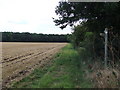 Footpath To Shelland Wood