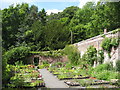 NY9070 : Chesters Walled Garden - parts of the walls, and plants for sale by Mike Quinn