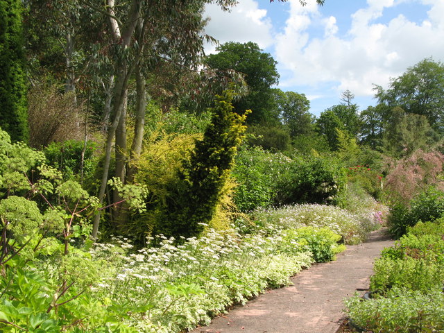 Chesters Walled Garden - west wall border