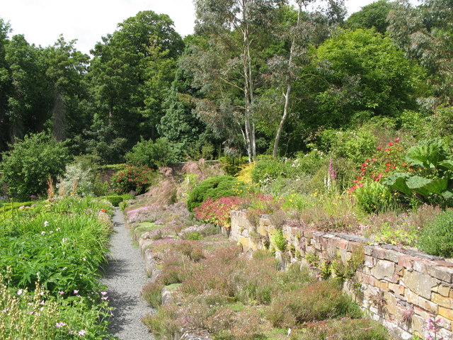 Chesters Walled Garden - the Thyme Bank
