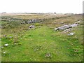 Edge of farmland at Ruaig