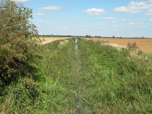 Drainage ditch looking north-east