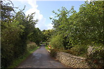 ST9584 : Lane near Little Somerford by Roger Davies
