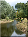 River Waveney