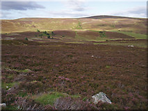 NJ0434 : Moorland north of Auchnagallin by Dorothy Carse