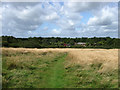 Footpath, Ditchling Common Country Park