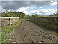 Farm Track, Flemyland