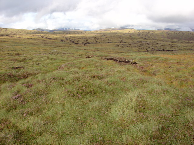 Grassy moorland