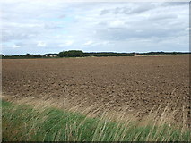 TA1643 : Farmland near Little Hatfield by JThomas