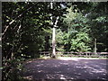 Car park at Wolves Wood RSPB reserve