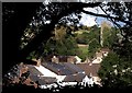 Roofscape, Kingston St Mary