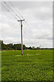 SU1409 : 11KV electricity line, south of Harbridge by Peter Facey