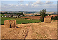 Farmland at Lurdenlaw