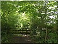 Footpath at Narramore