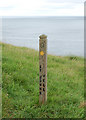 SW9178 : Coastpath marker near Stepper Point by Andy F