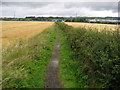 Footpath to Balmore