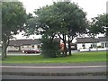 Cottages at Mourne Rise off Castlewellan Road. Newcastle