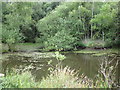 SU7660 : Small pond close to Cudbury Clump tumulus by don cload