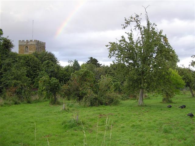 Orchard, Ilmington