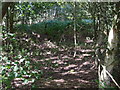 Trackbed of the Aldeburgh Branch