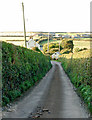 Lane north to Trethillick from the B3276