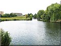 Lee & Stort Navigations: Moorhen Marina turning basin