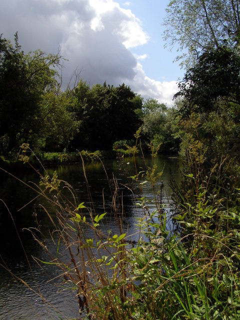 The Itchen Navigation