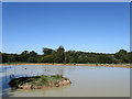 New Pond near Huntswood