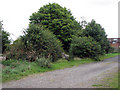 Woolsthorpe: trackbed of the High Dyke Branch