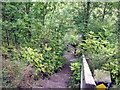 Woolsthorpe: steps on the Skillington footpath