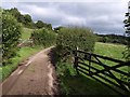 Lane near Batworthy