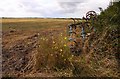 Arable field near East Hanney