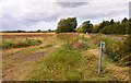 Footpath along the edge of the field