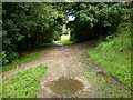 Footpath in Healey Heights Recreation Ground