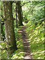 River Garry path