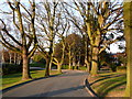 Footpath through Shrewsbury School grounds