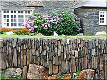 SX0991 : Harbour wall, Boscastle by Marion Haworth