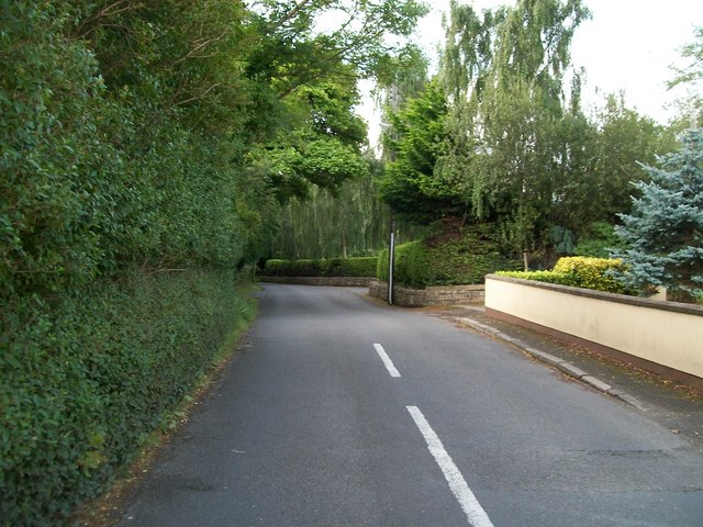 The well-wooded eastern section of Tollymore Road