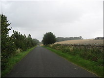 NT4065 : The road to Preston Mains near Pathhead in Midlothian by James Denham