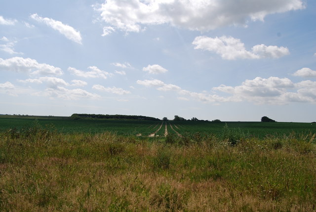 Farmland, Reculver Country Park © N Chadwick :: Geograph Britain and ...