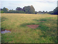 Meadow near Cropston Leys