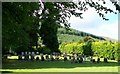 The Church of Ireland burial ground at St Colman