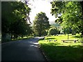 The Greenhill YMCA access road through Donard Park