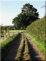 Bridleway near Hayleigh Farm