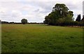 Field by East Hanney