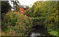 Letcombe Brook in East Hanney