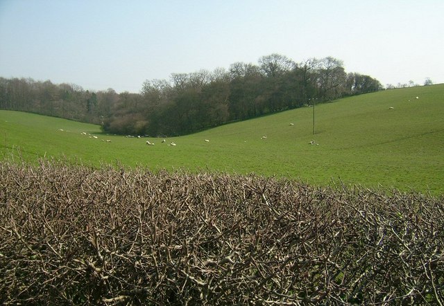 Ditchley Lane, Ditchley (view South)