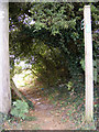 TM3976 : Footpath to the A144 Bramfield Road by Geographer