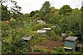 Autumn allotments