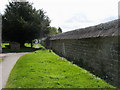 Thatched Wall